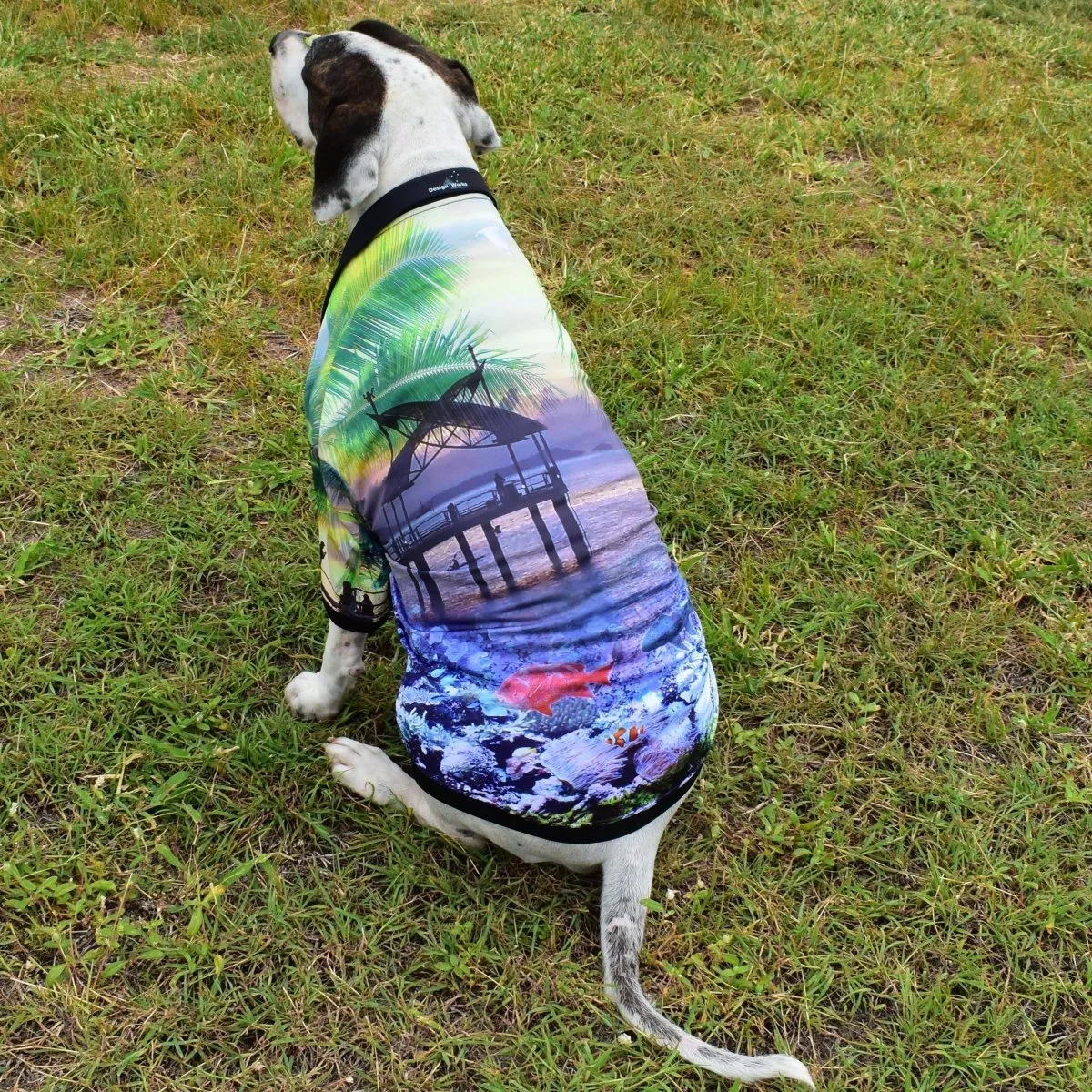 Sun Safe Dog Shirts - Design Works