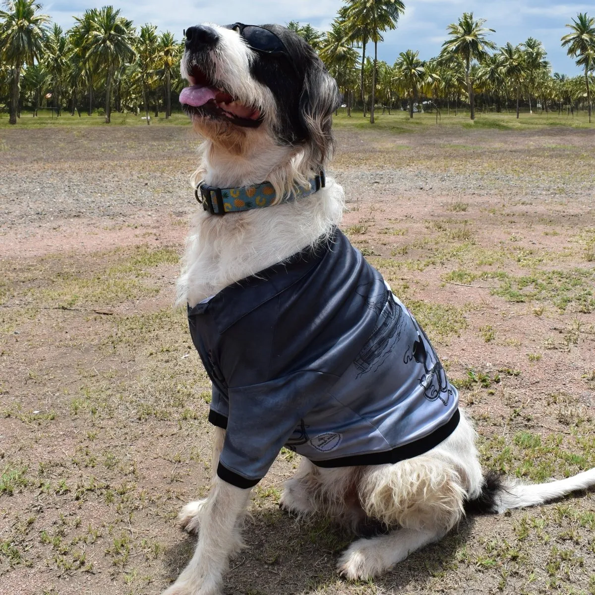 Sun Safe Dog Shirts - Salty Dog